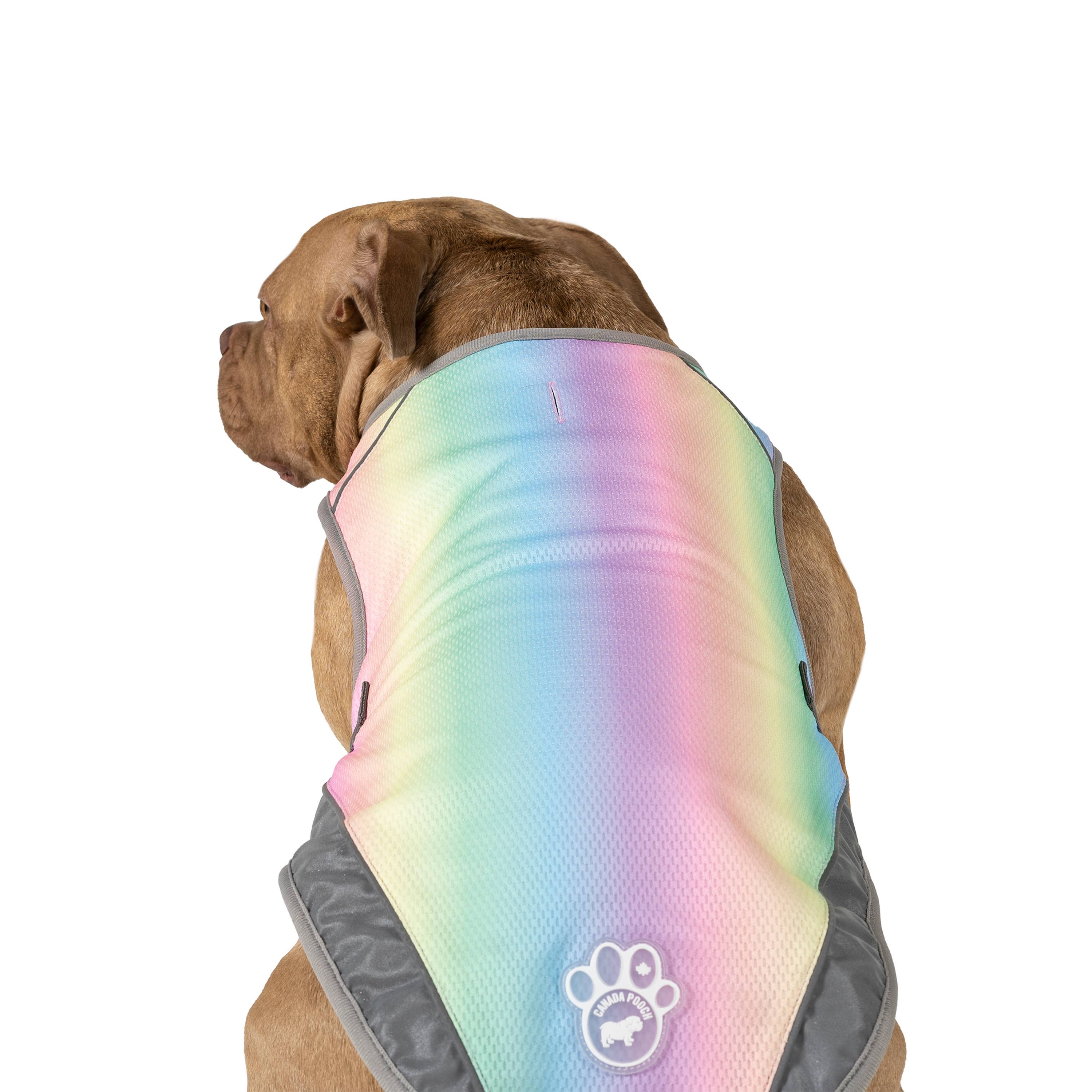 Arcobaleno Gilet rinfrescante per cani Chill Seeker (arcobaleno) in vendita all'ingrosso su Faire2