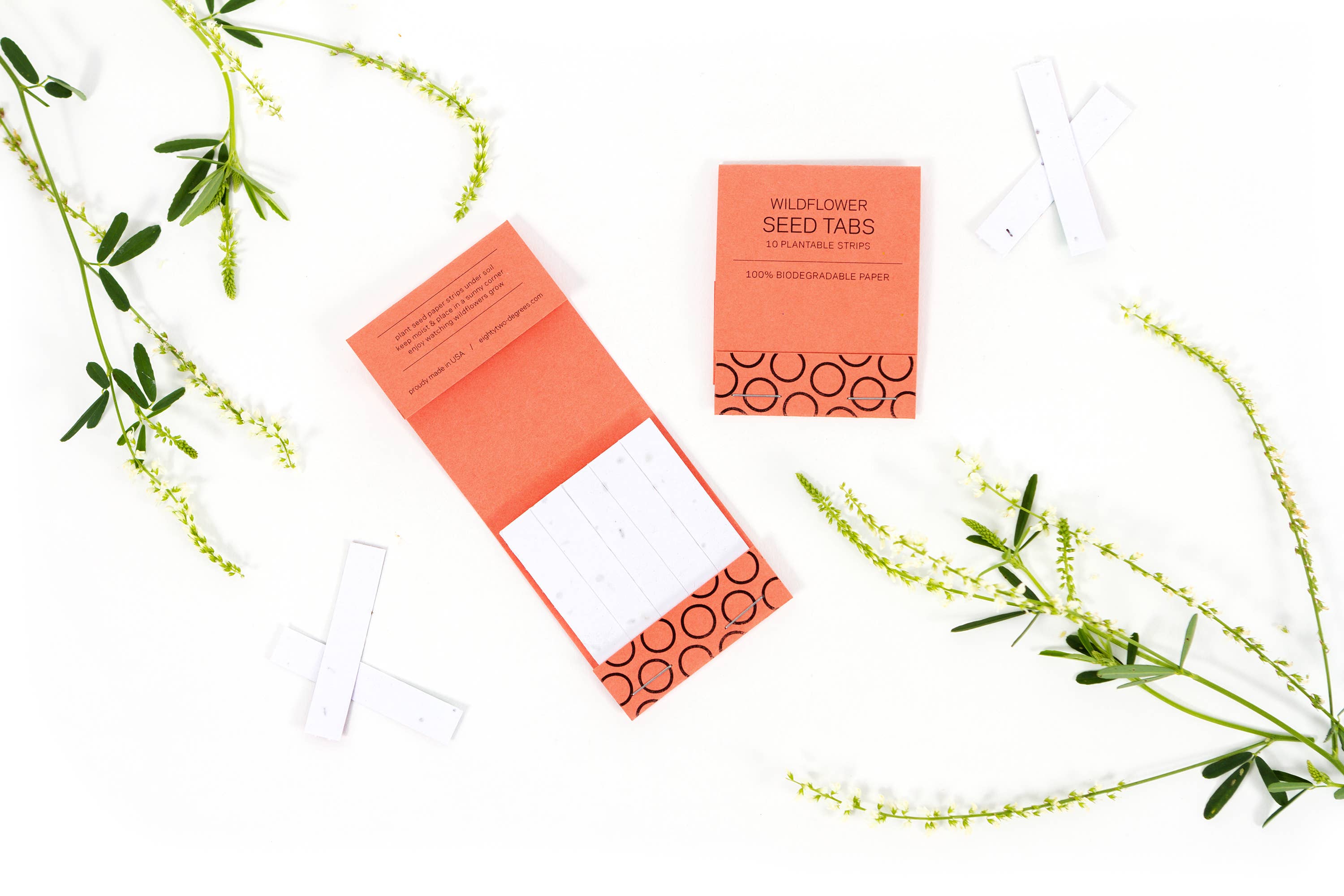 Studio 82° - Wholesale Plant Seeds - Wildflower Seed Tab Booklet - Mustard Yellow7