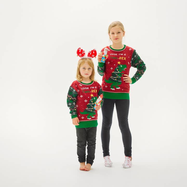 Happy Seasons - Wholesale Knit Sweater - Kids - The Tree-rex Sweater - Kids5