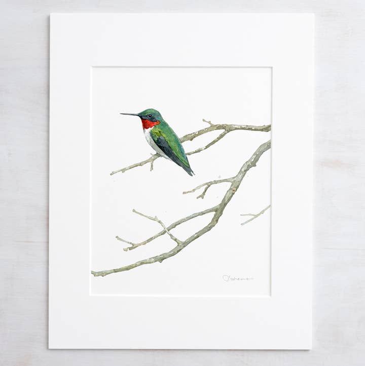 Ruby-throated Hummingbird Watercolor Print for wholesale by Studio Tuesday