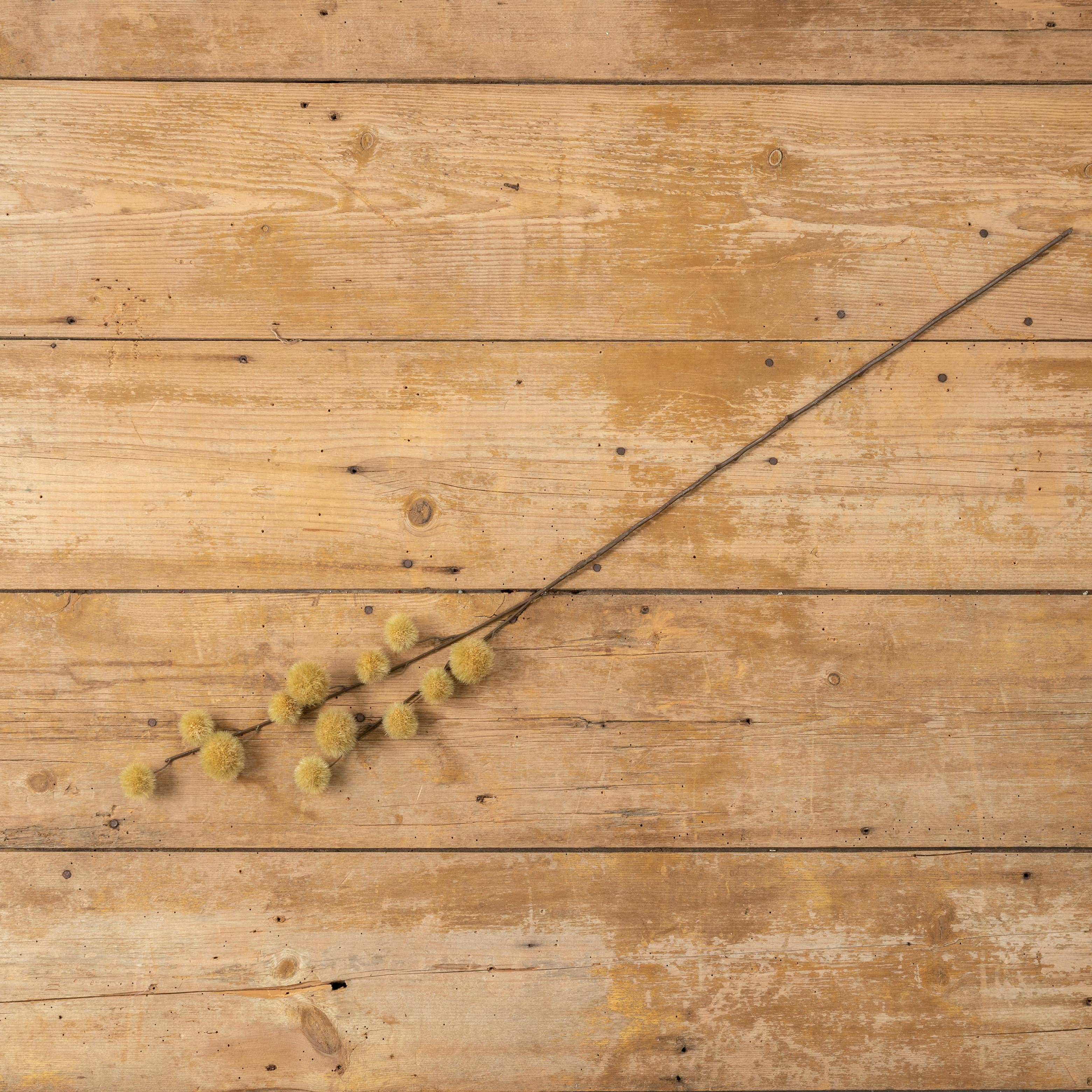 Ragon House - Wholesale Artificial Plant - 40.25" MUSTARD GLOBE THISTLE SPRAY1