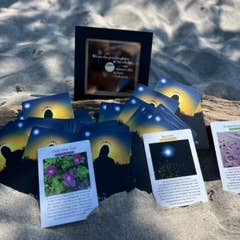 Maine Sea Witch - Wholesale Spiritual Stone/Crystal - Maine Sea Witch Oracle3