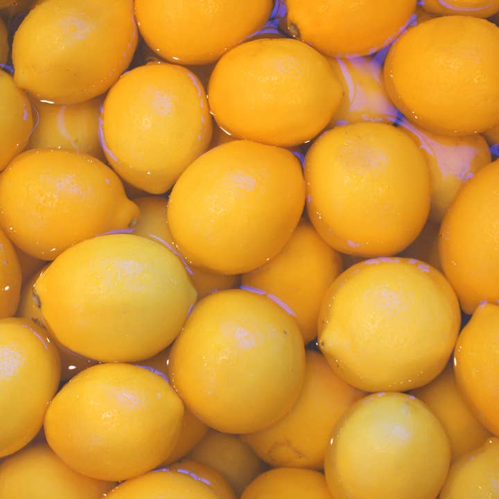 Blake Hill Preserves - Wholesale Jam/Jelly - Meyer Lemon Marmalade