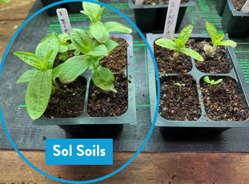 Sol Soils - Wholesale Planting/Potting Soil - Soil (1Gal) Seedling & Propagation Mix5