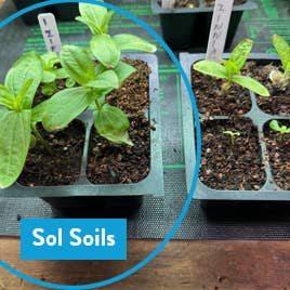 Sol Soils - Wholesale Planting/Potting Soil - Soil (1Gal) Seedling & Propagation Mix5