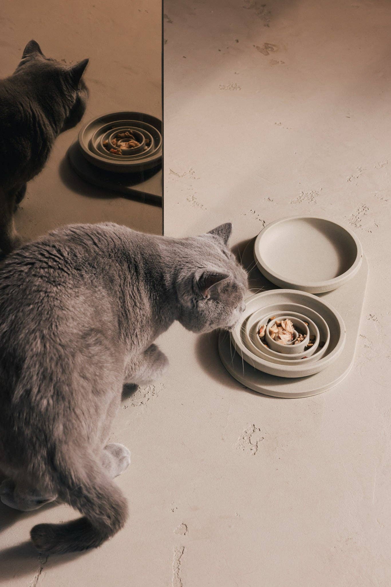 PINO - Wholesale Pet Bowl - Cat - Slow Feeder Bowl for Cats6