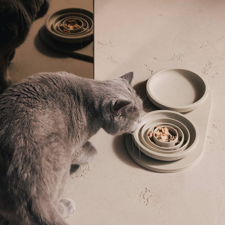 PINO - Wholesale Pet Bowl - Cat - Slow Feeder Bowl for Cats6