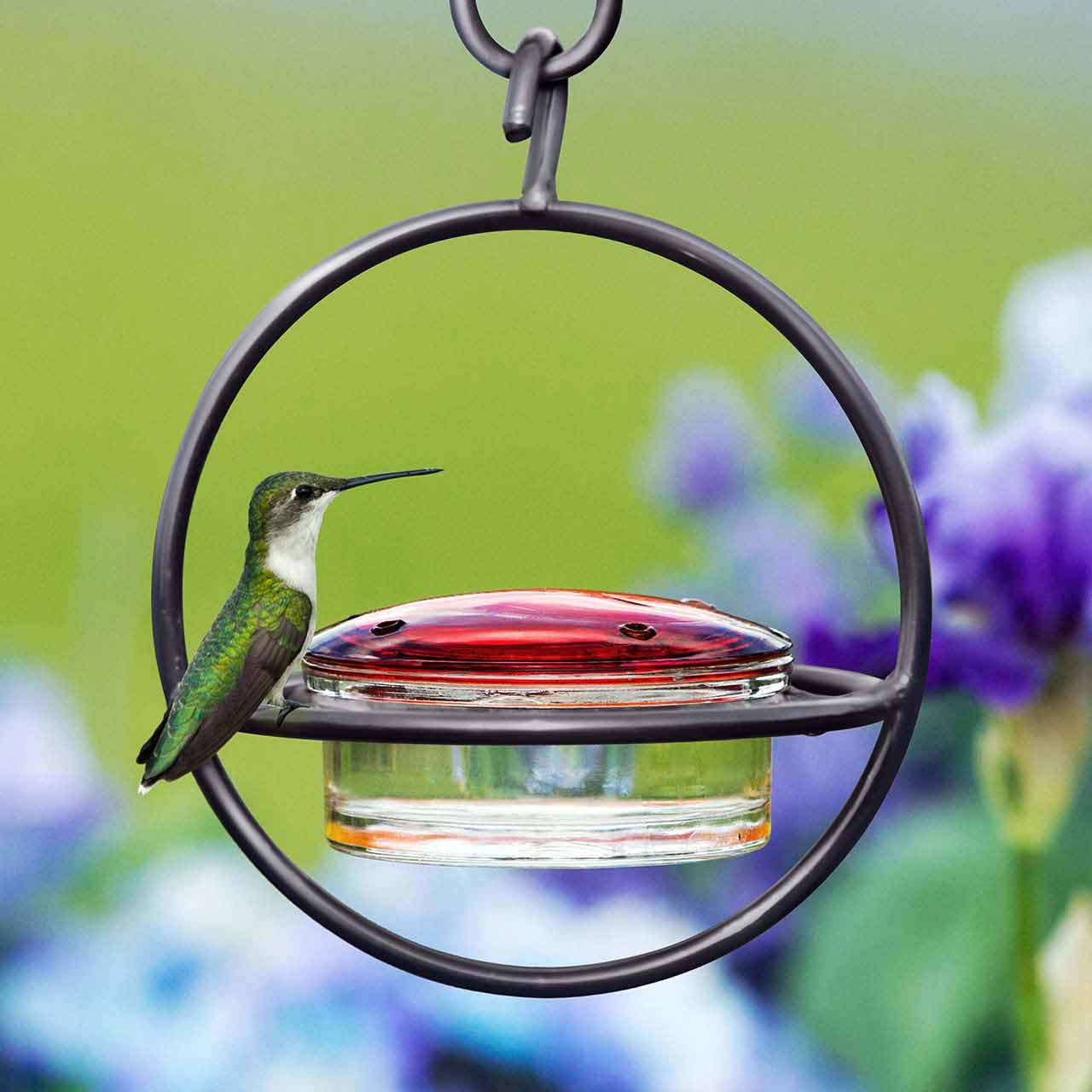 Couronne Co. - Wholesale Bird Feeder - Mosaic Birds Hummble Bold Hummingbird Feeder Black2