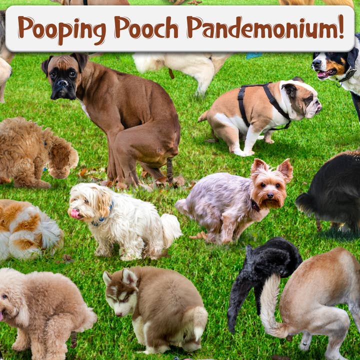 Funwares - Wholesale Puzzle - Adult - 101 Pooping Puppies 1000-Piece Puzzle, Birthday Gift, Gag