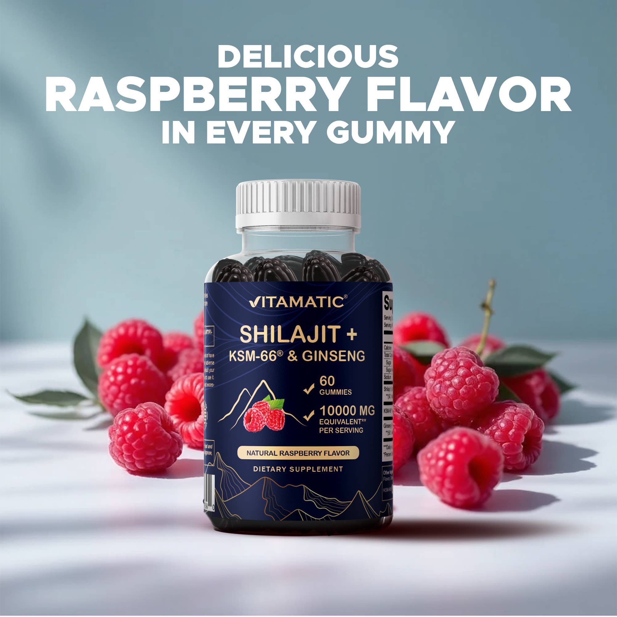 Vitamatic – wholesale Oral supplement/vitamin – Vitamatic Shilajit with KSM-66® Ashwagandha & Ginseng-60 Ct5