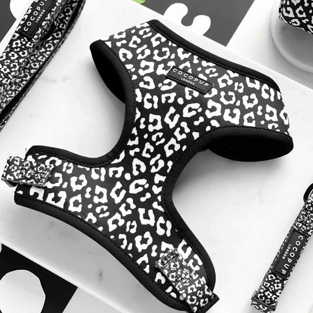 Cocopup London - Vente Harnais – chien - Harnais de cou ajustable léopard noir0