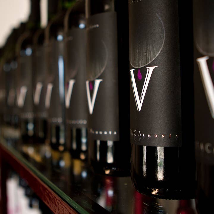 VINO VITACA - Wholesale Champagne/Sparkling Wine - VITACA HARMONY1