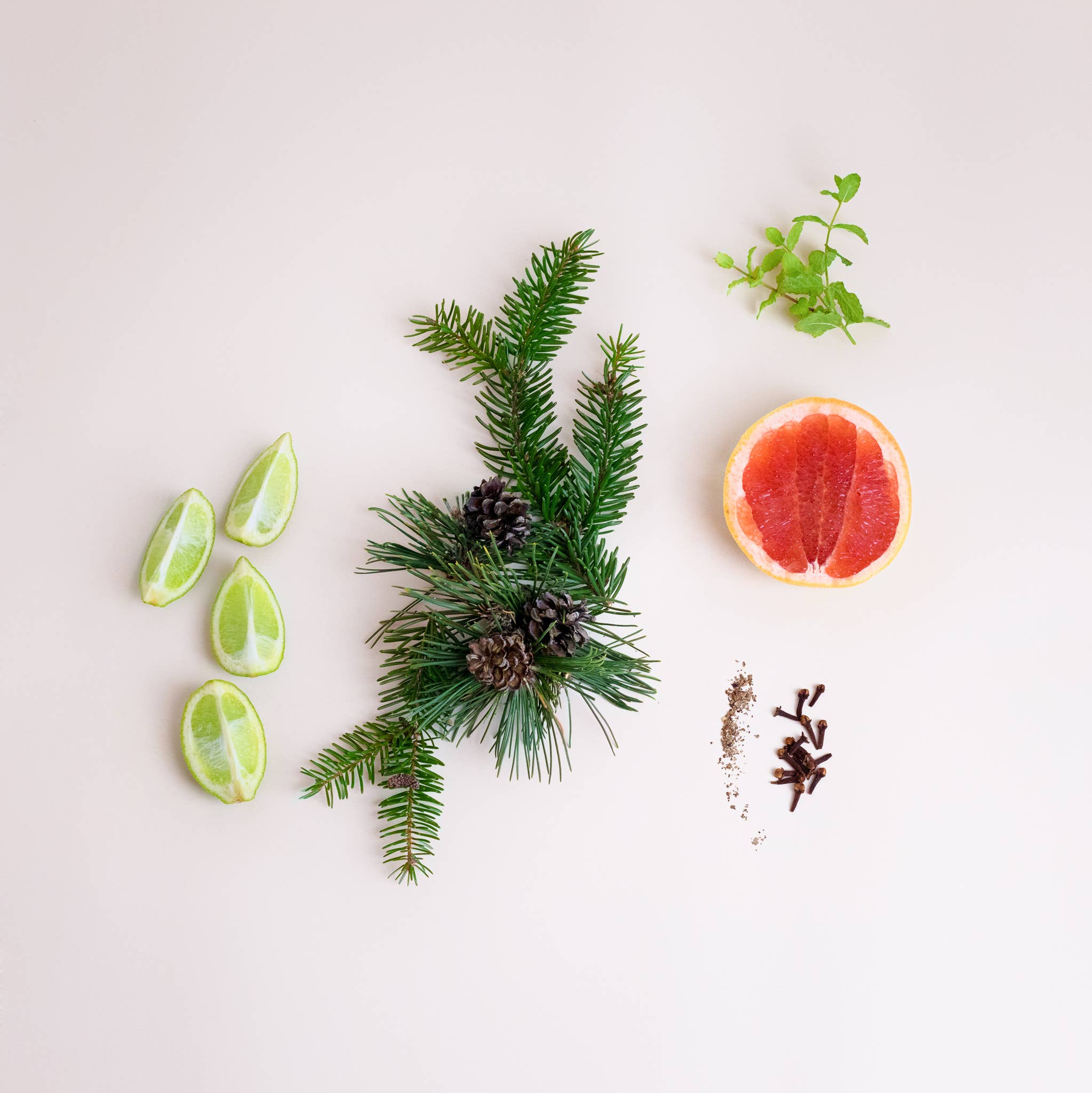 SCENTORIE. – Engroshandel Glaslys – WINTER WALK Duftlys med rapsvoks 300 g/60 timer1