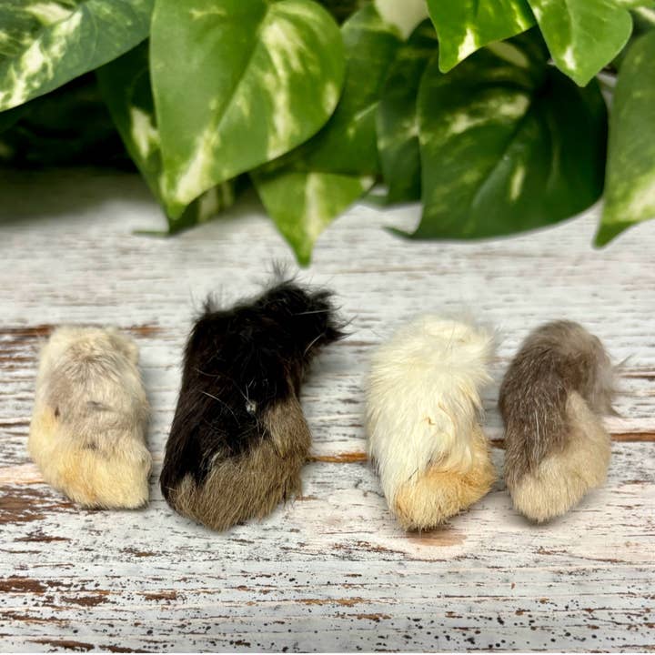 Rocky&Stella’s Treats - Vendita all'ingrosso Giocattoli per animali - Cani e gatti - Zampe di coniglio