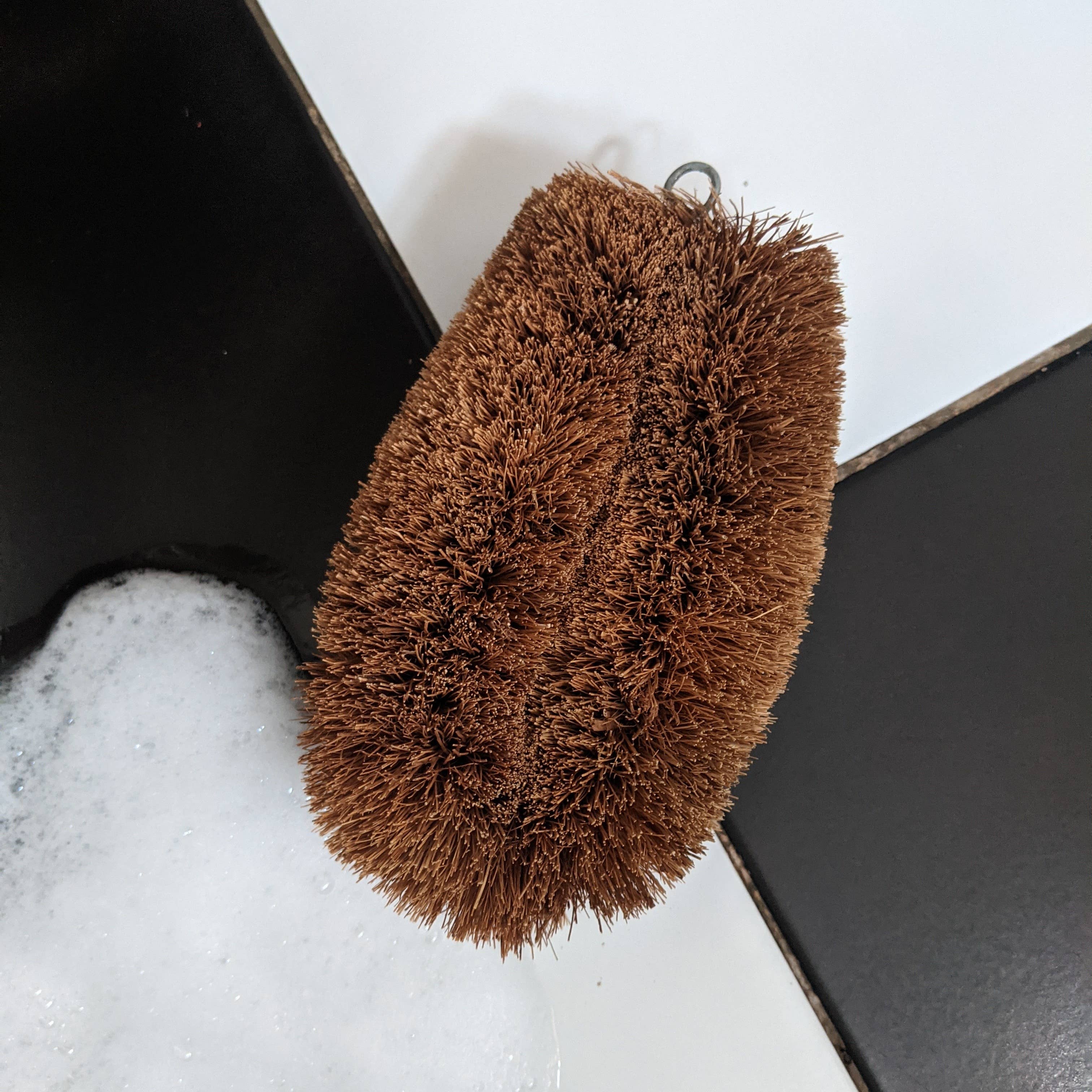 LoofCo - Loofahs & Coconut Brushes – wholesale Cleaning brush – Scrubbing Brush | BULK Box of 12 | 5% Discount1