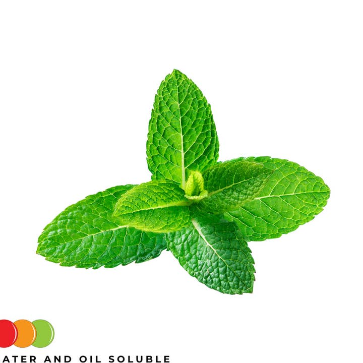 Mentholsmag (naturlig) for engroshandel hos OOOFlavors.com