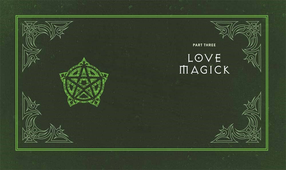 Hachette Book Group - Wholesale Reference Book - Wiccapedia by Shawn Robbins5