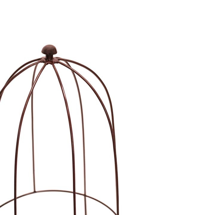 Ivyline - Wholesale Beplantingsnet/afdekking/hoes - Buitengebruik plantsteun H60 cm B36 cm1