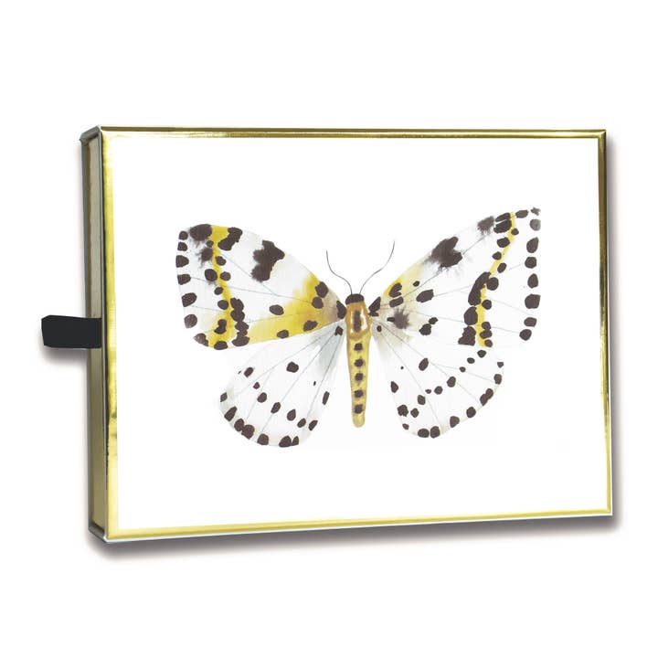 Notizkarten-Set mit Mottenmotiv für den Großhandel von Rachel Brown Art