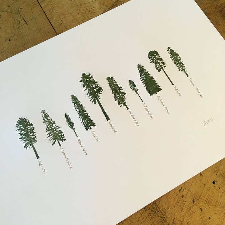 Green Bird Press - Wholesale Art Print - A Few Conifers Letterpress Print - 12" x 18"1