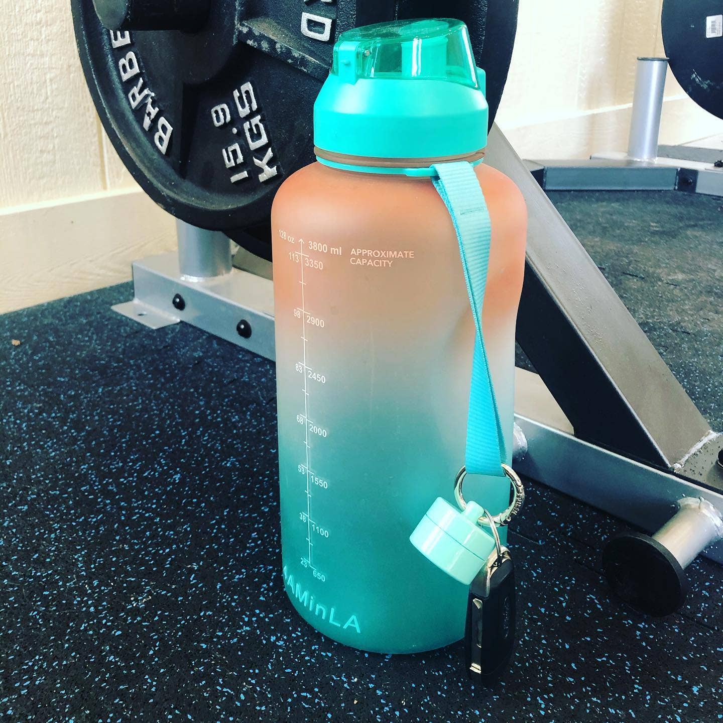 Lion Latch - Wholesale Jewelry Box/Organizer - Mint Lion Latch Jewelry/Pill Tote3