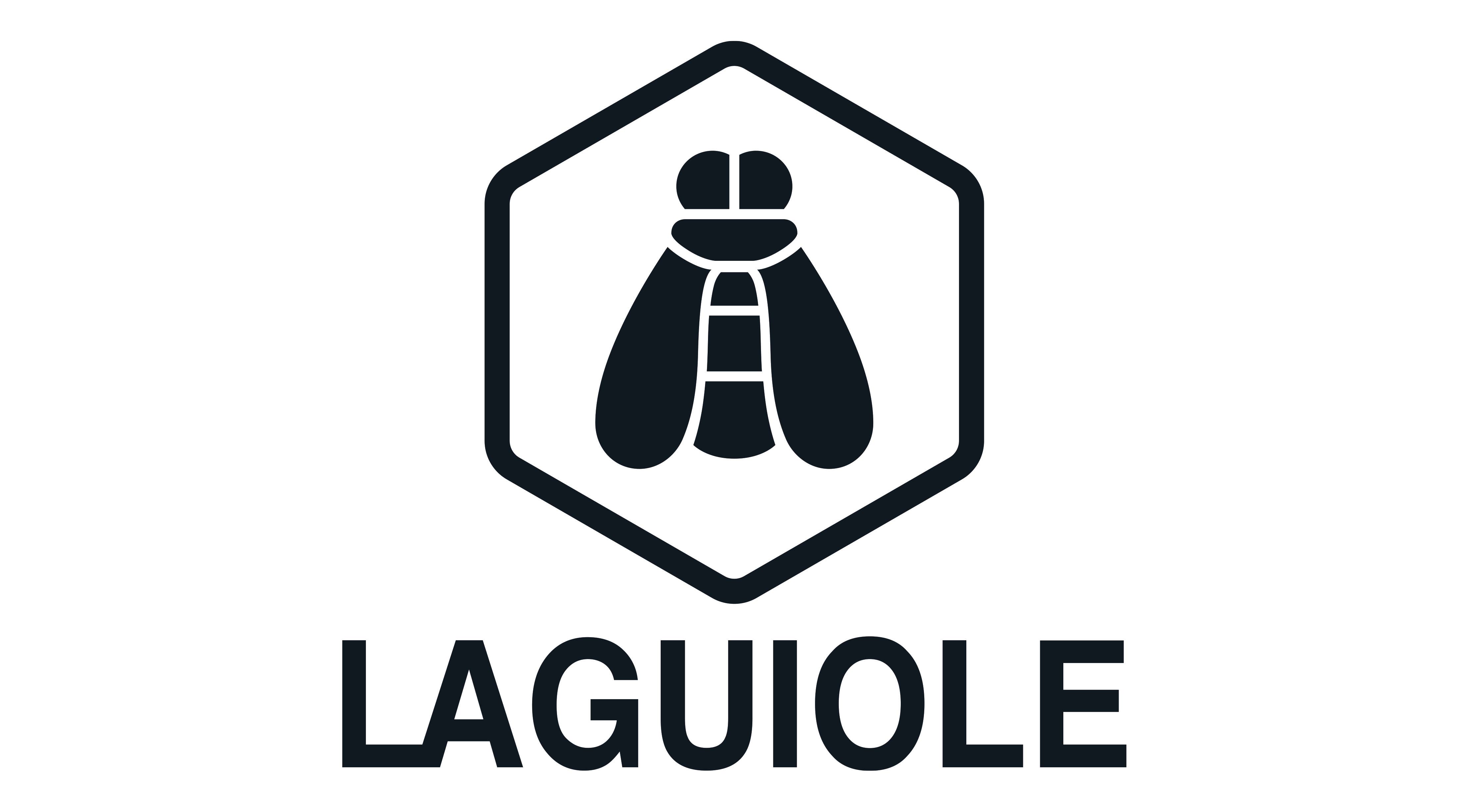 Laguiole 16 piece Heritage luxury designer boxed set