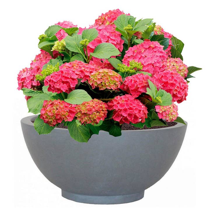 Idealist Lite Fibrestone Planters – wholesale Plant pot – IDEALIST Dish Style Smooth Bowl Outdoor Planter