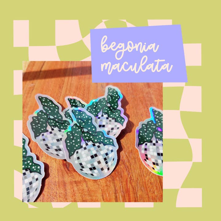 Begonia Maculata Disco Ball Iridescent Vinyl Sticker for wholesale by BumbleB Graphic Design