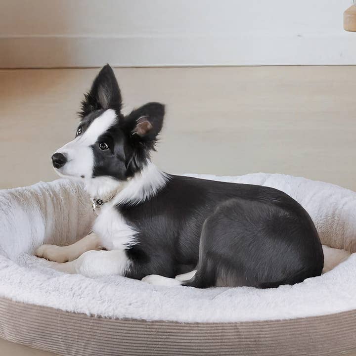 DUPPIDU CAMA REDONDA Ø75x14 cm CANELADA 4 ASSORTIDOS por atacado de VdE Tivoli 1996