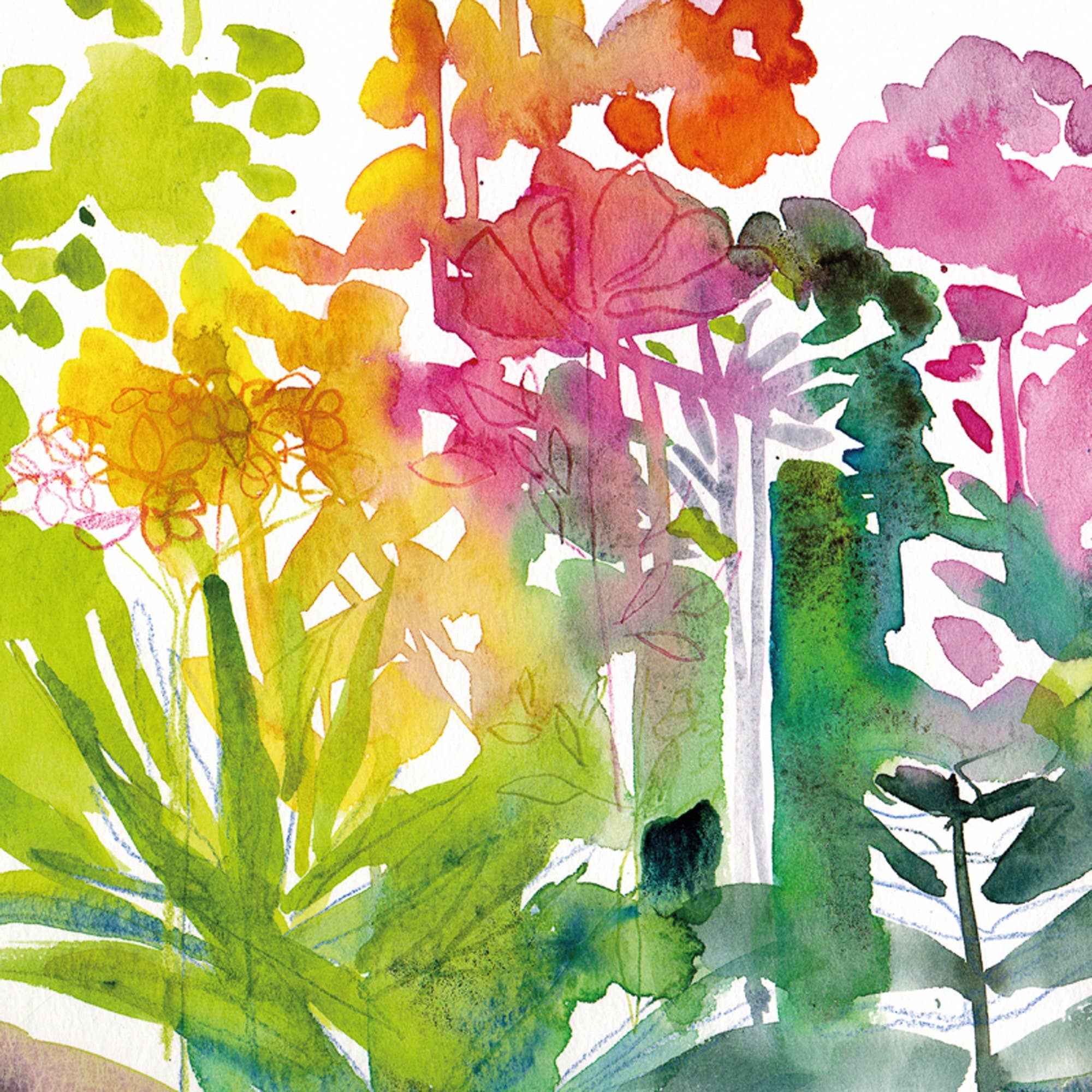 Diana Fegredo Studio - Wholesale Everyday Greeting Card - Spring Fresh Greetings Card1