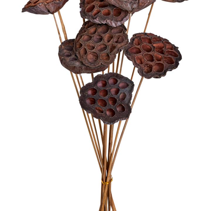 WORTH IMPORTS - Wholesale Artificial Flowers - Large Lotus Pick (2.5" Diameter)