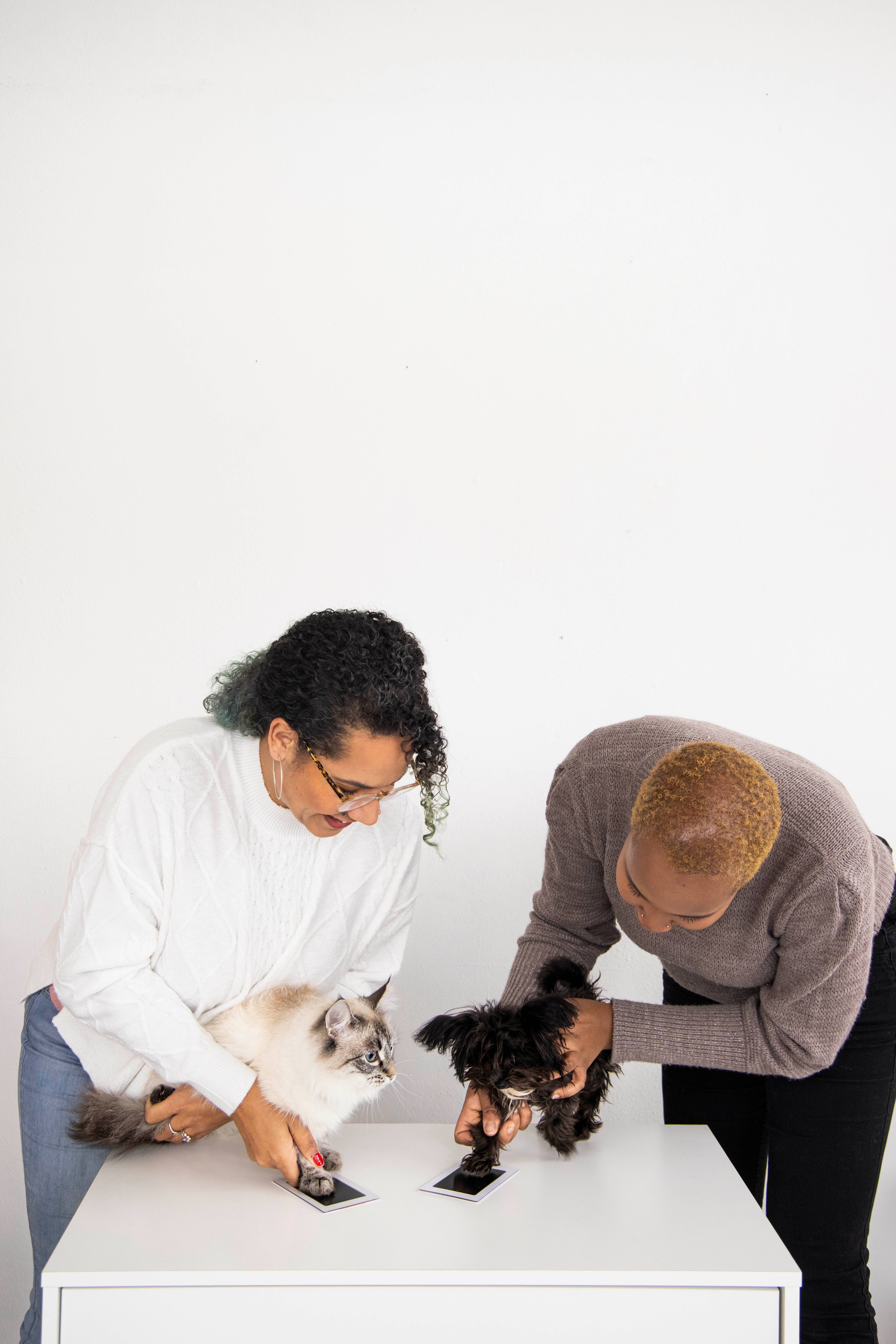 Pearhead - Vente Tampons encreurs - Tampon à encre Clean-Touch Pet Pawprint, noir6