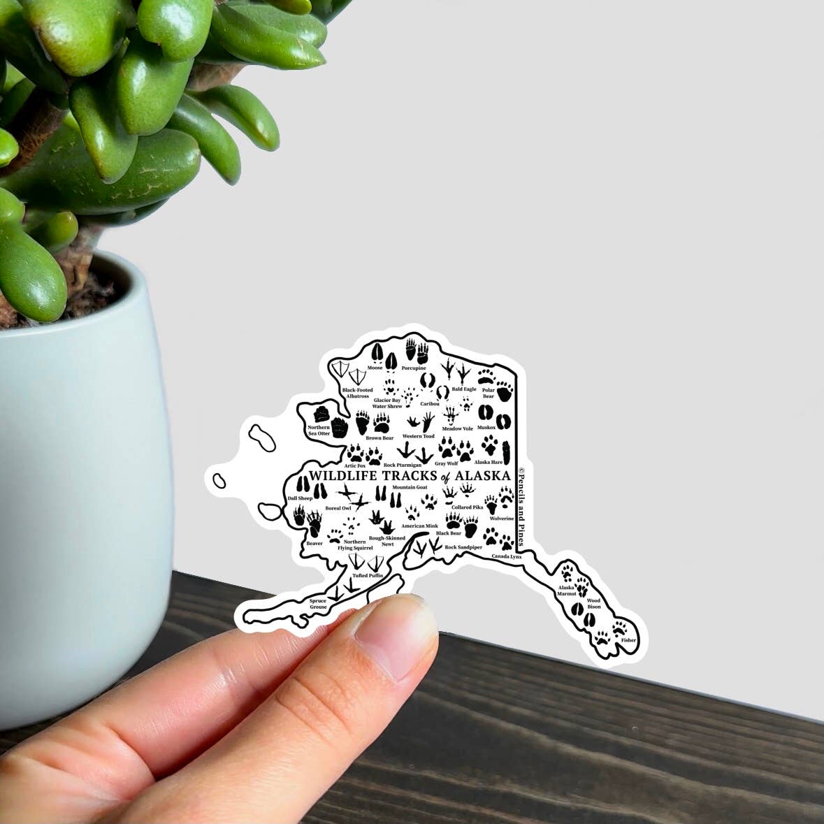 Pencils and Pines - Wholesale Sticker - Wildlife Tracks of Alaska Waterproof Sticker2