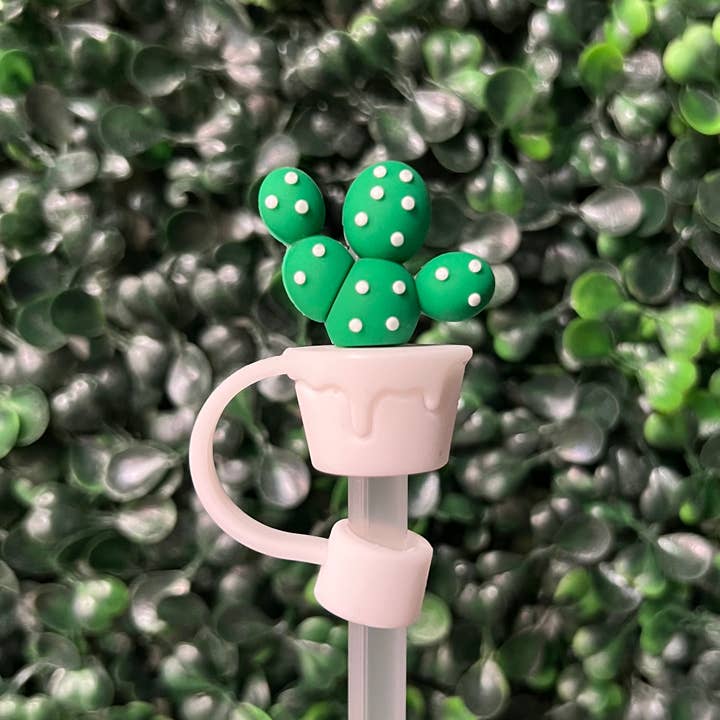 Briano Wholesale – Engroshandel Sugerør – Kaktus store halmtoppere3