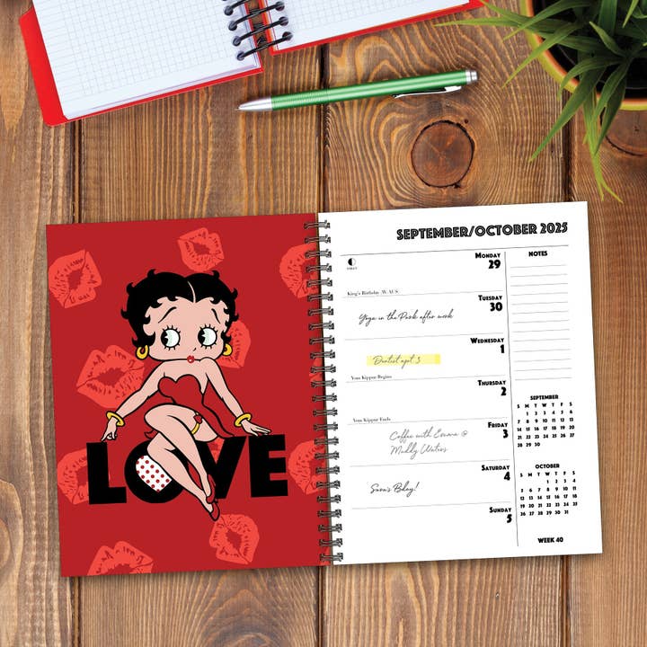 Willow Creek Press & Gifts - Wholesale Calendar - Betty Boop 2025 Engagement Calendar