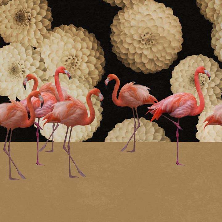Daria Petrilli - Wholesale Wallpaper - WHITE DAHLIA AND FLAMINGOS BLACK SKY - WALLPAPER1