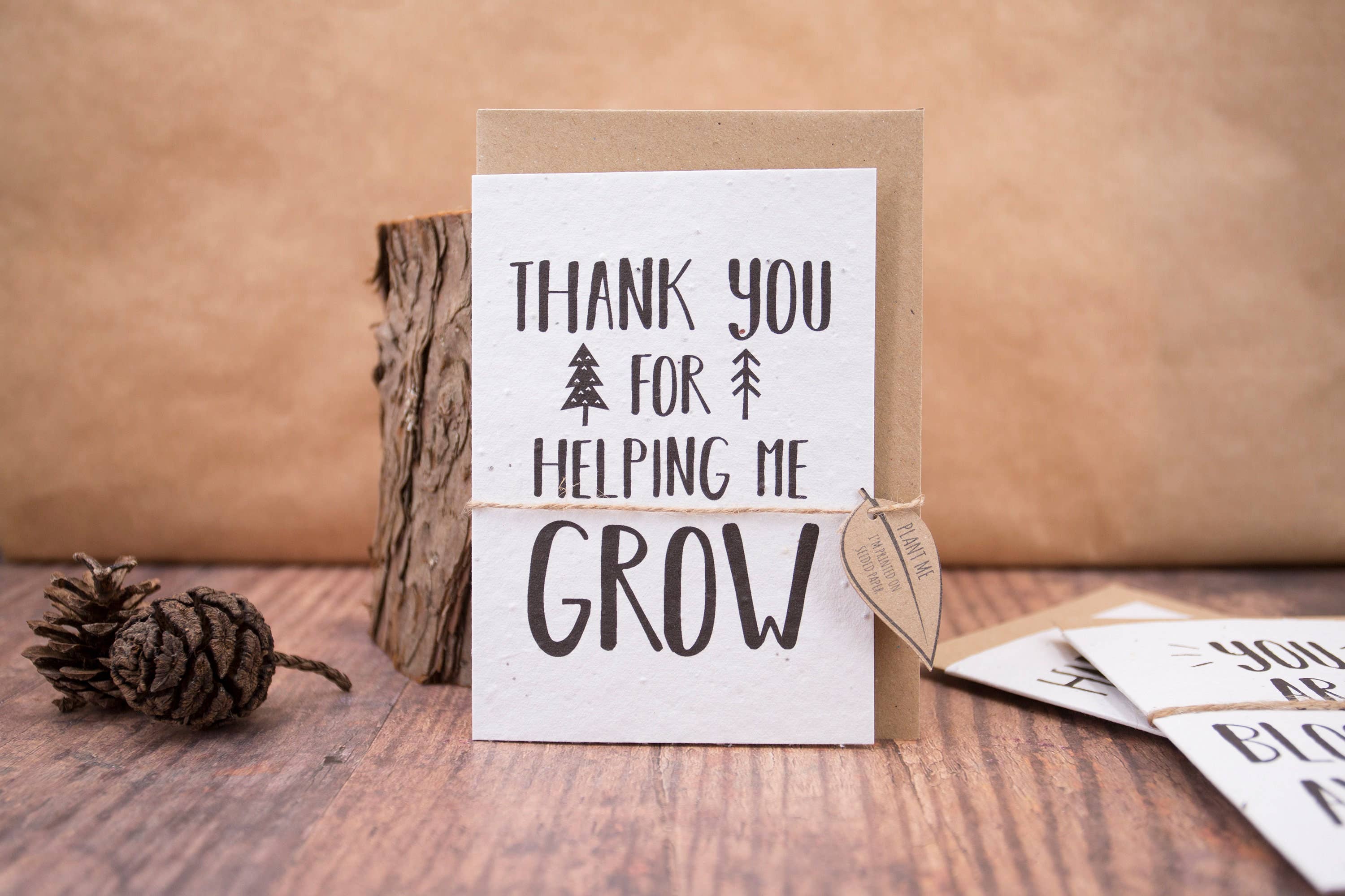 Katy and the Bear - Wholesale Zaadjes voor platten - Plastic gratis leraar cadeau zaadbom en plantbare kaart1