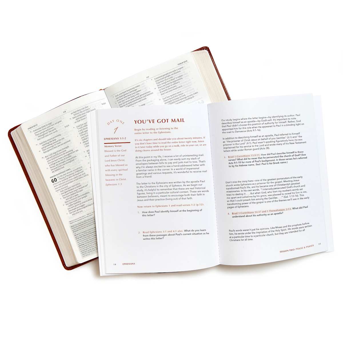 Lifeway - Wholesale Religion - Ephesians - Bible Study Book with Video Access3