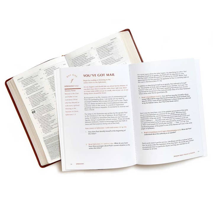 Lifeway - Wholesale Religion - Ephesians - Bible Study Book with Video Access3