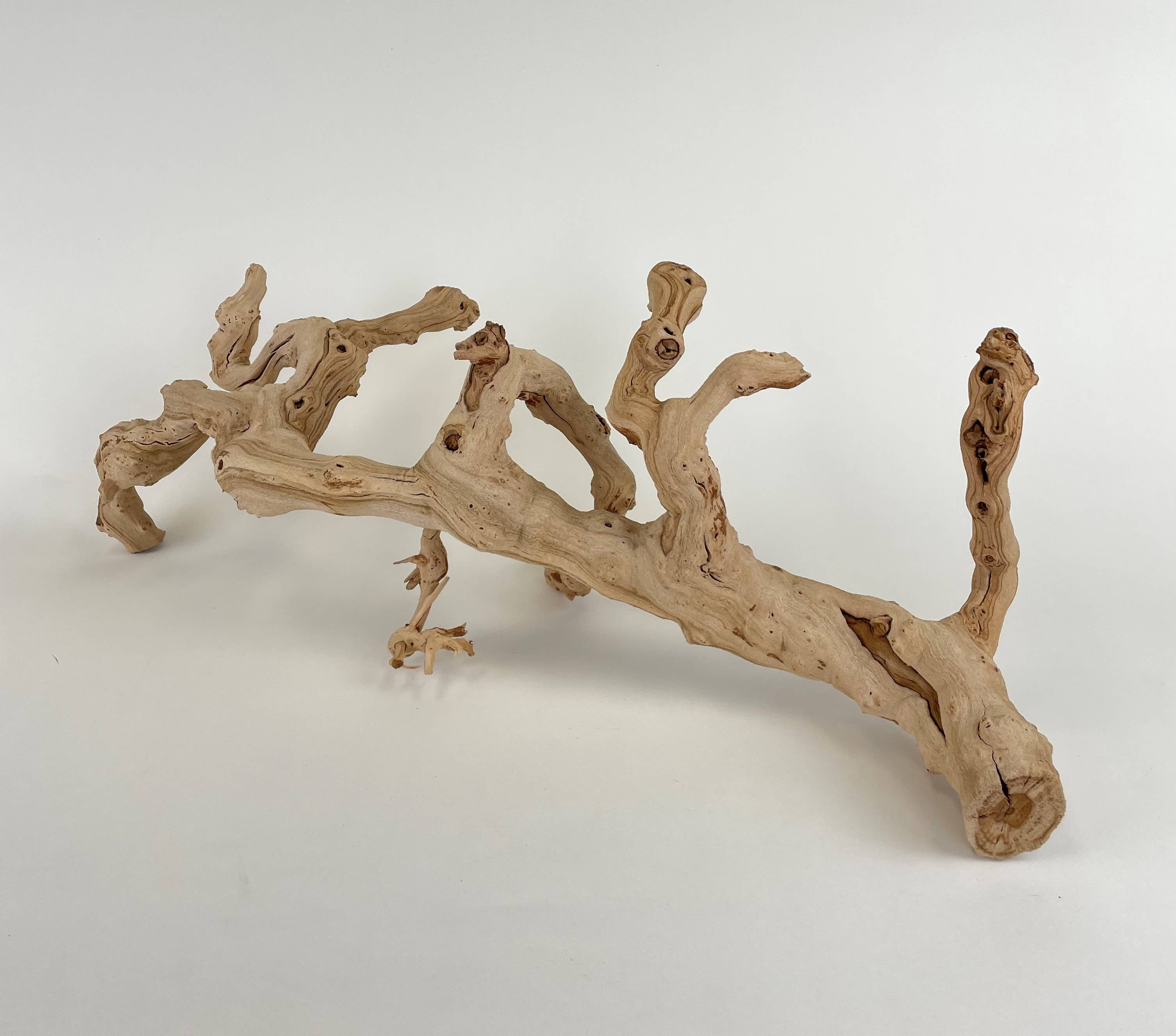 Andaluca - Wholesale Decorative Tabletop Object - 22" Sandblasted Grapewood