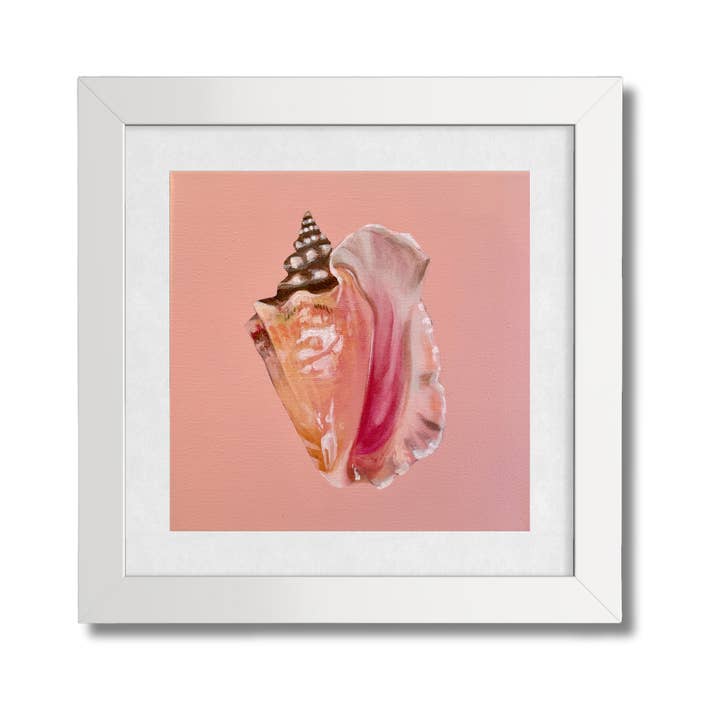 Florida Conch Art Print for wholesale by Jessie Perez Art