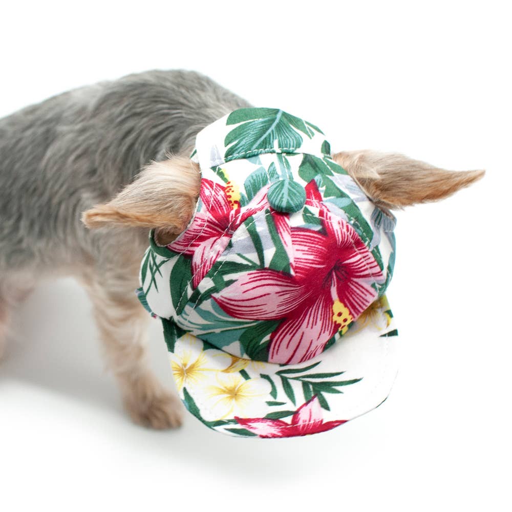 Dogo Pet - Wholesale Pet Hat - Dog - Tropical Island Hat2