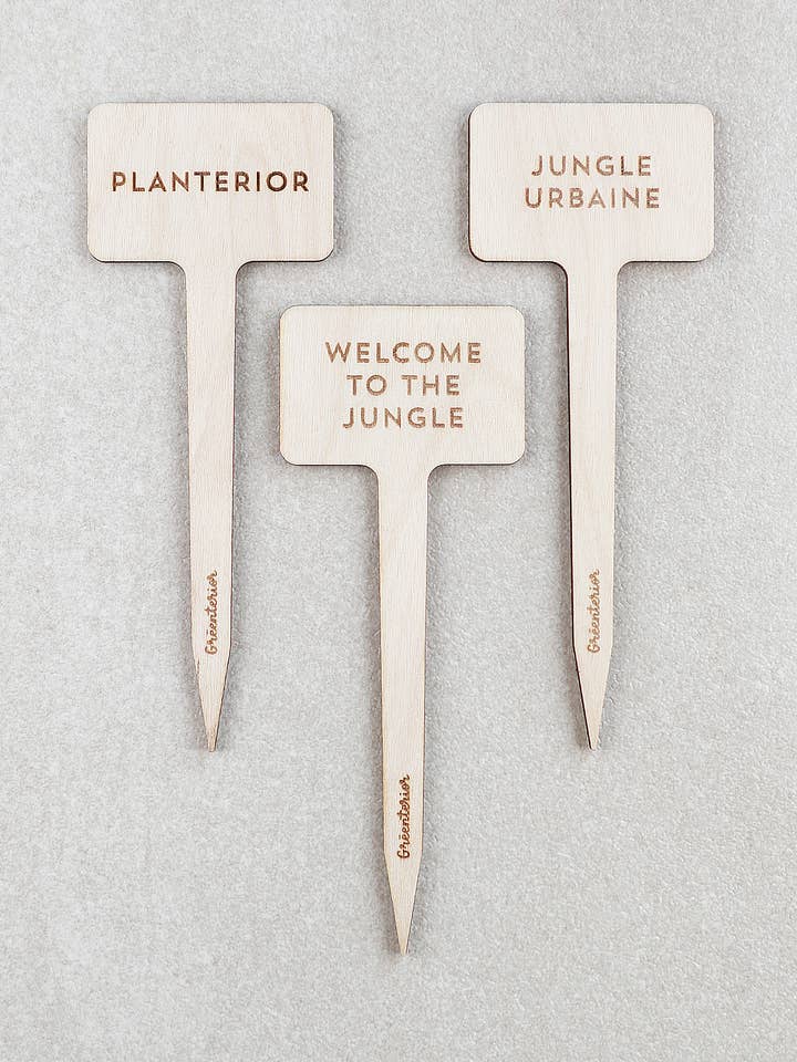 Planterior Plant Marker - Wood for wholesale by Greenterior