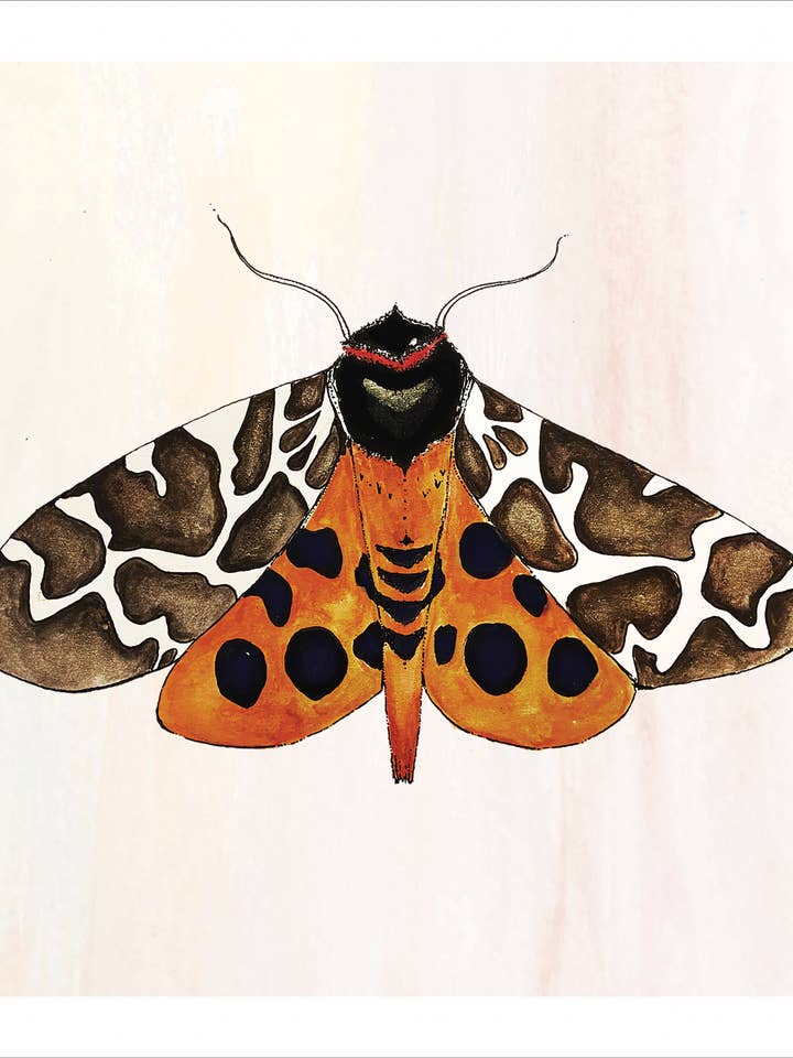 Estampado de polilla tigre para venta al por mayor de Bell Hutley