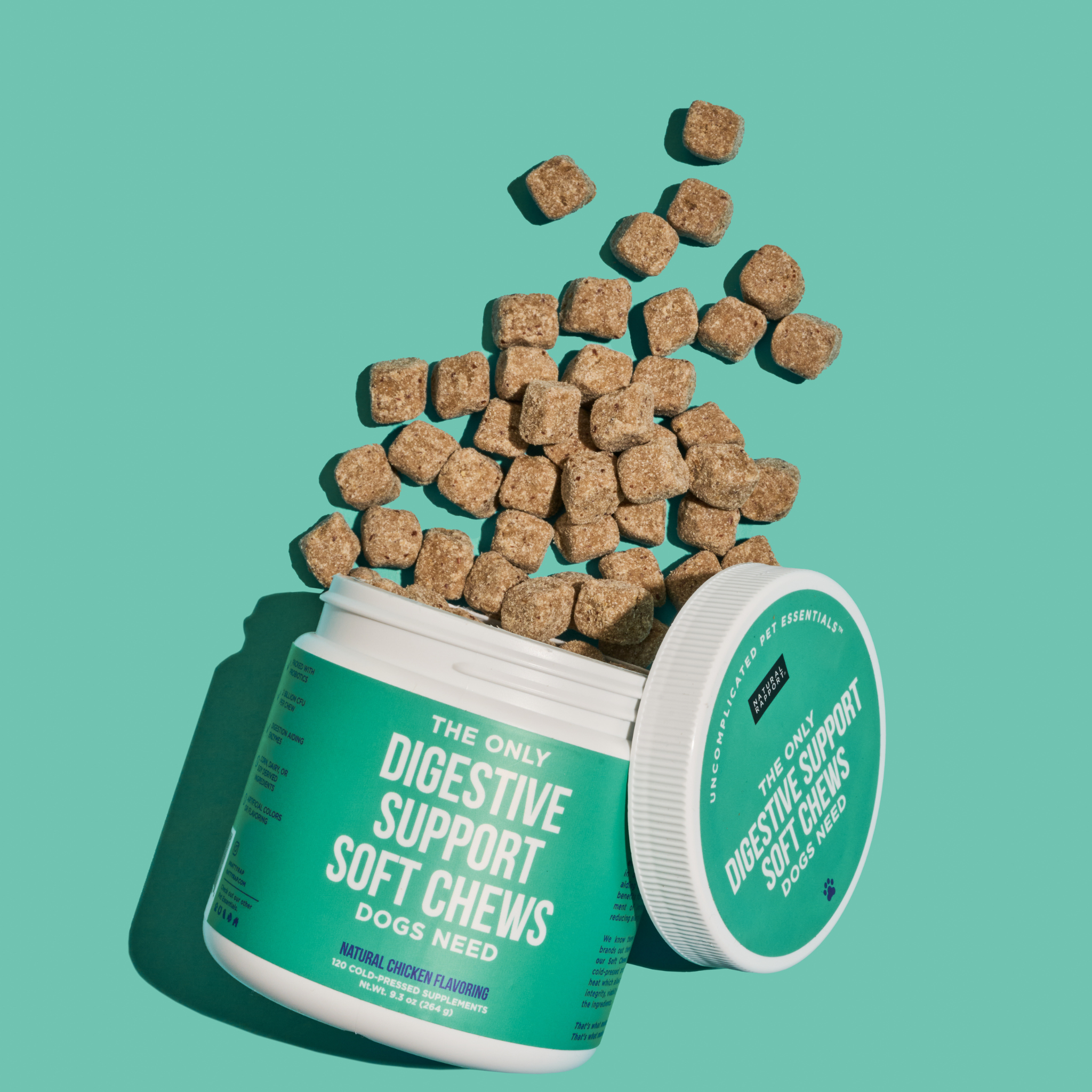 Natural Rapport - Wholesale Pet Supplement - Dog - The Only Digestive Support Soft Chews Dogs Need1