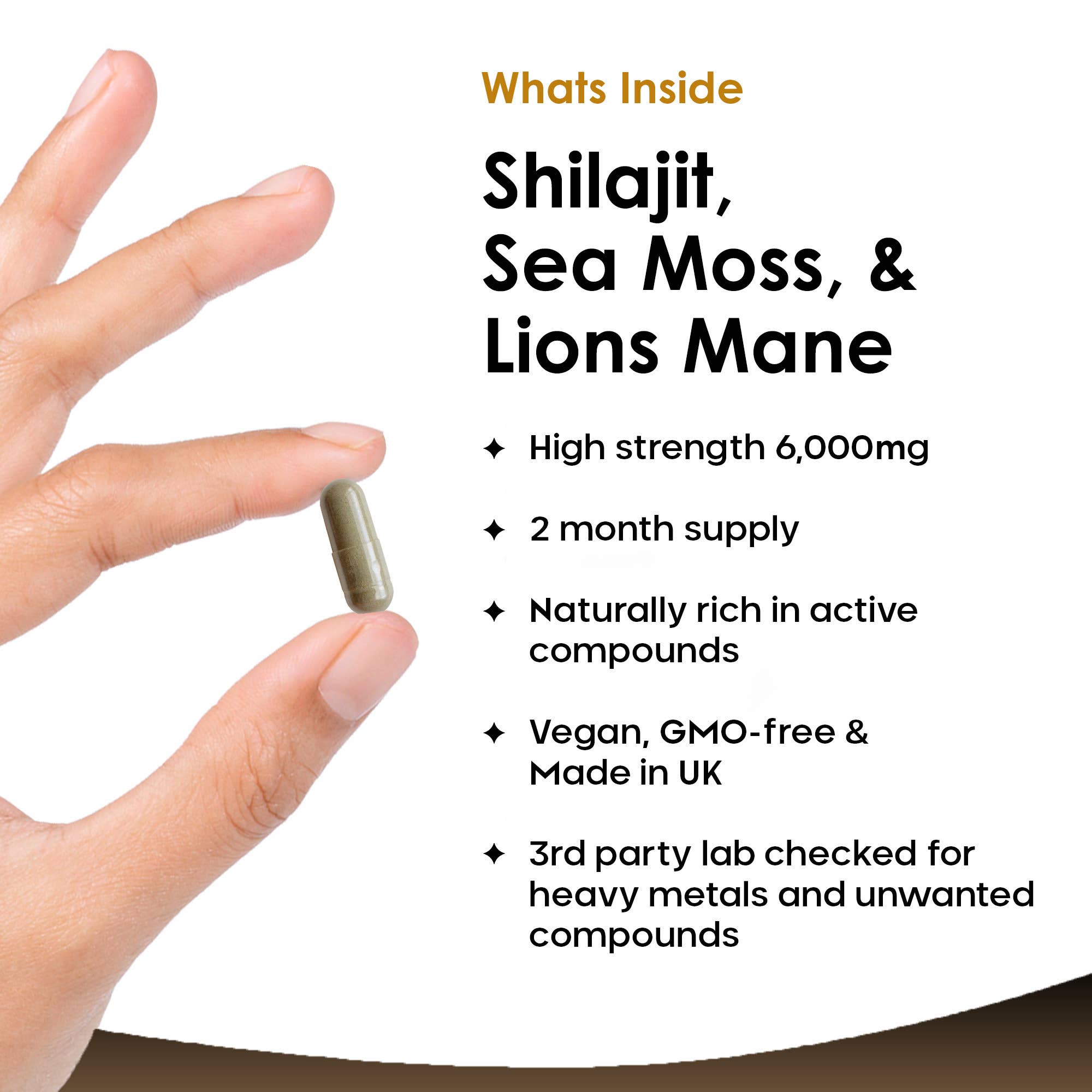 New Leaf products Ltd – wholesale Oral supplement/vitamin – Shilajit, Sea Moss & Lions Mane 6000mg Vegan Capsules1