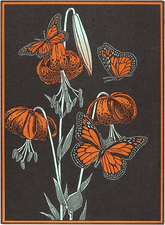 Found Image Press - Wholesale Magnet - Magnet IS-123 Monarch Butterflies0