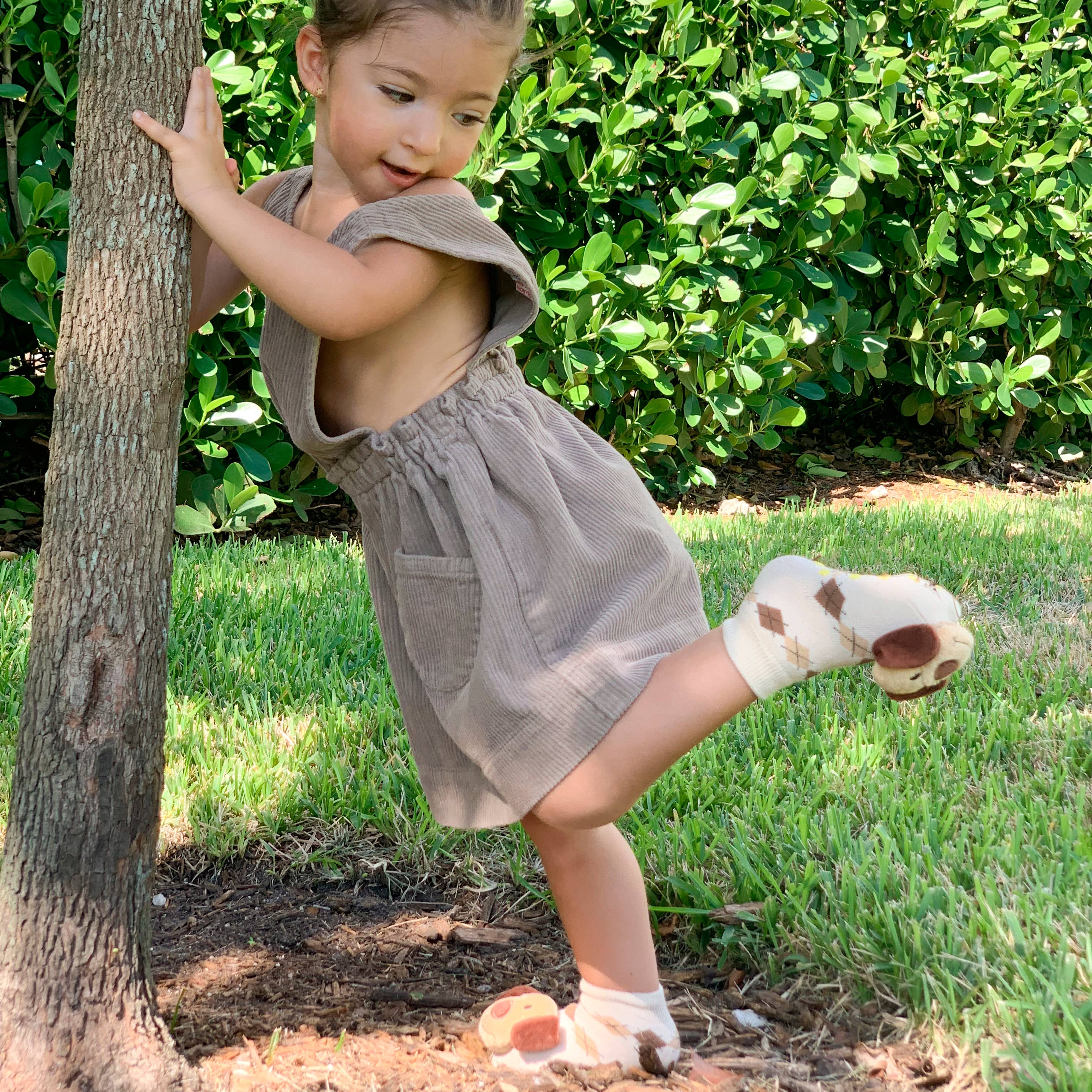 Boogie Toes - Wholesale Socks - Baby - Brown Dog Boogie Toes Rattle Socks1