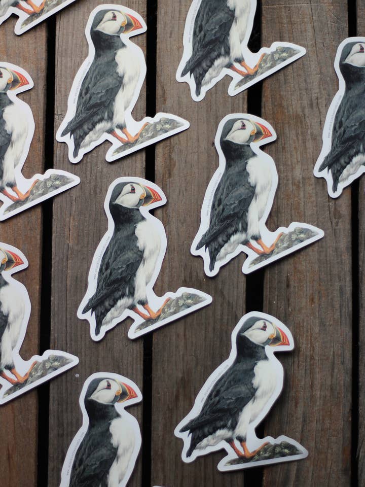 puffin - sticker for wholesale by stück in the studio