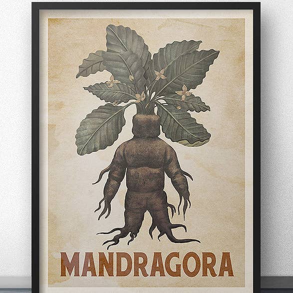 WindowShopGal - Wholesale Art Print - Mandragora Mandrake Poster - Heritage (for Harry Potter fans)0